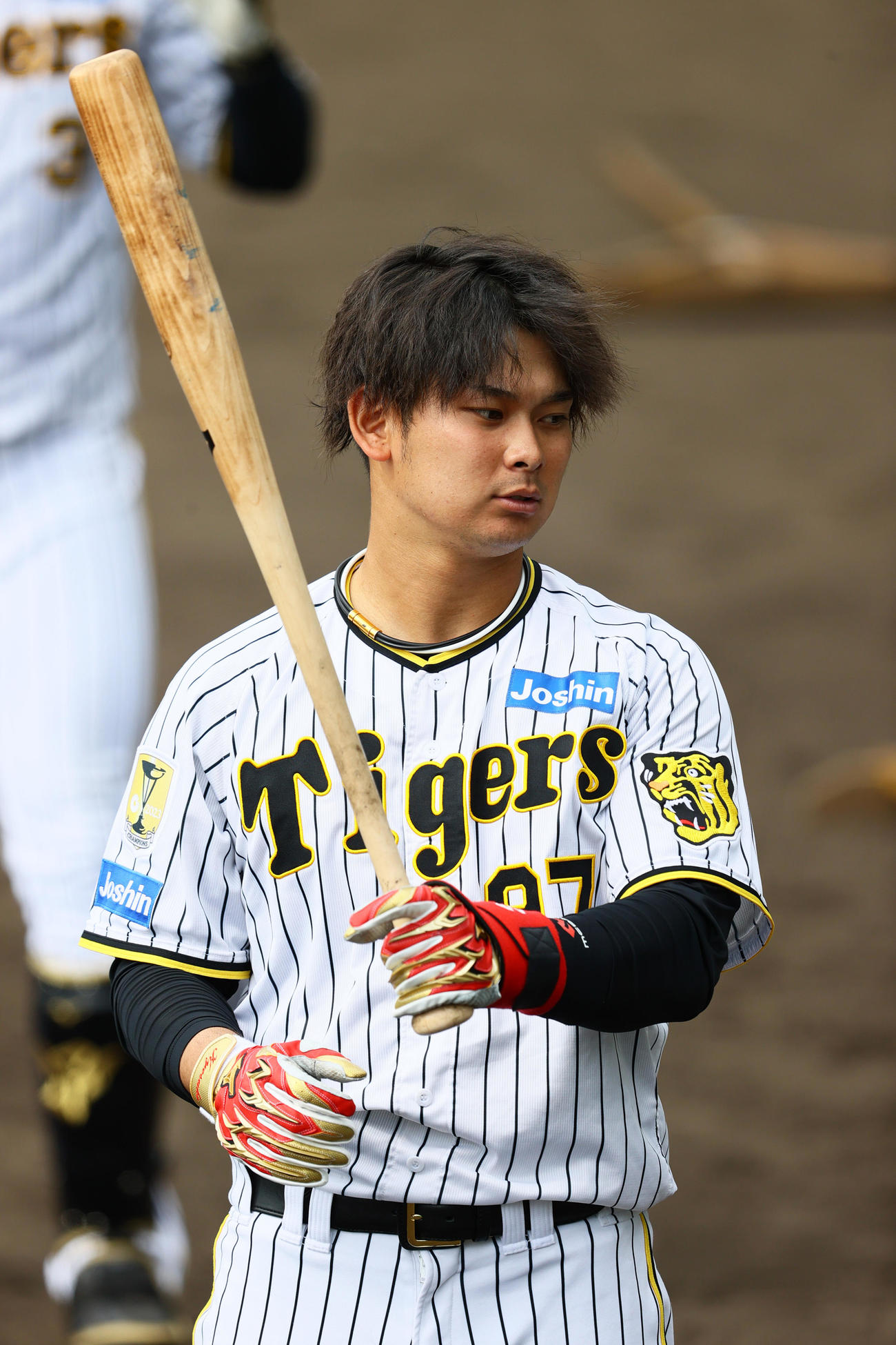 特打を前にする阪神野口（撮影・上山淳一）