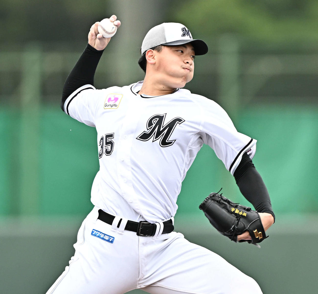 ライブBPで登板するロッテ田中晴（撮影・滝沢徹郎）