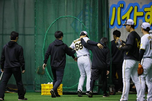 阪神春季キャンプ　右足を痛め、スタッフに抱えられる中川（撮影・藤尾明華）