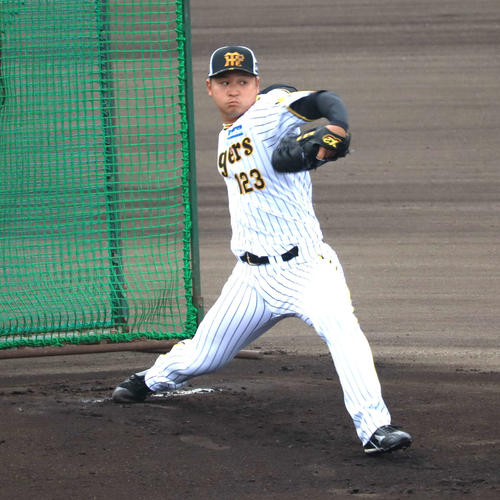 ランチ特打に打撃投手として初登板した阪神育成ドラフト1位松原（撮影・村松万里子）