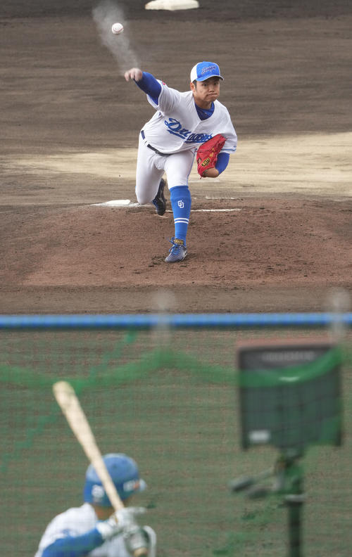 シート打撃練習に登板する根尾（撮影・森本幸一）