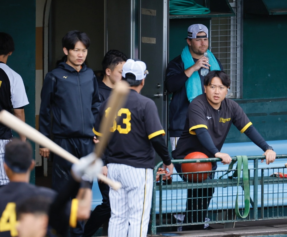 阪神春季キャンプ　ベンチから打撃練習を見つめるノイジー（右奥）（撮影・藤尾明華）