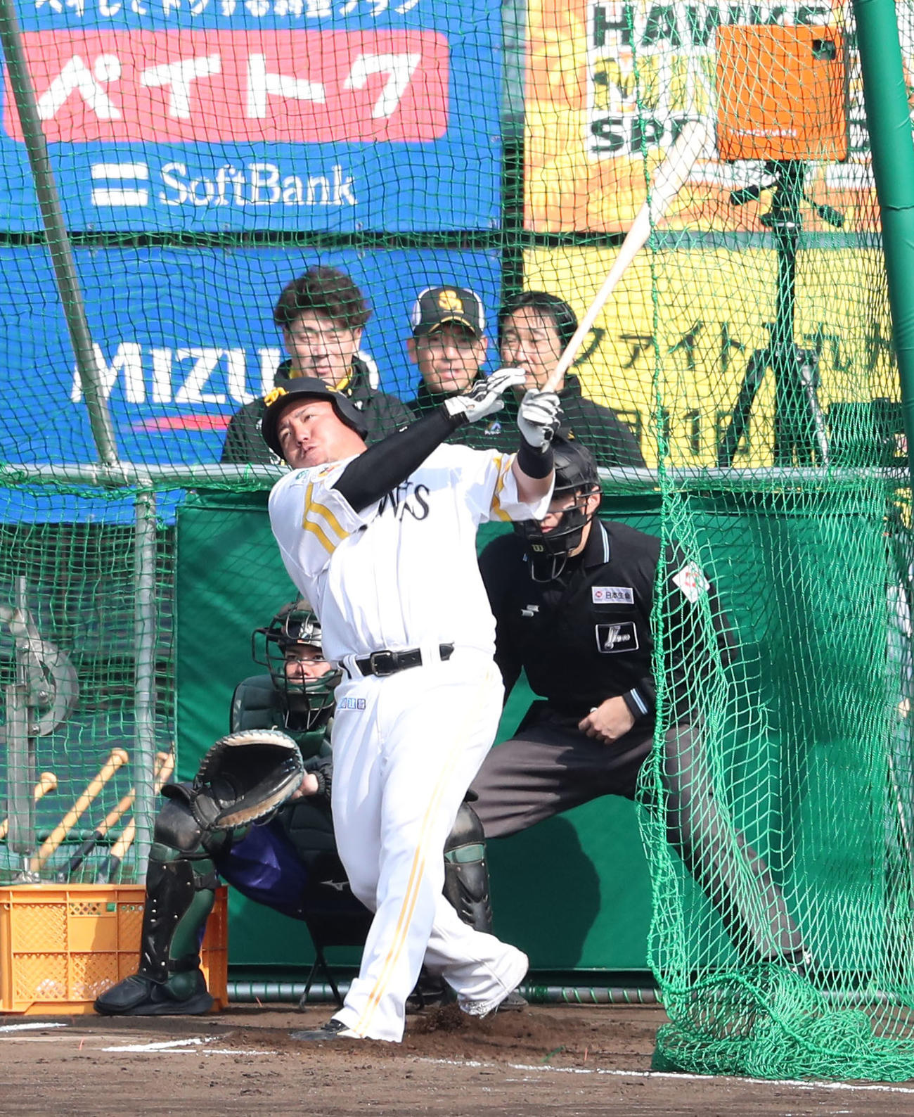 フリー打撃で快音を響かせる山川（撮影・梅根麻紀）