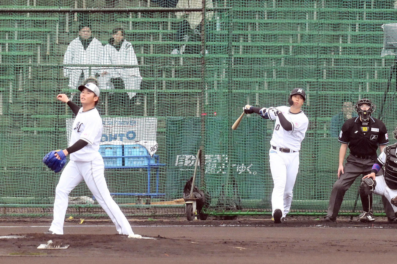 ライブBPで打席に臨むロッテ上田。投手横山（撮影・滝沢徹郎）