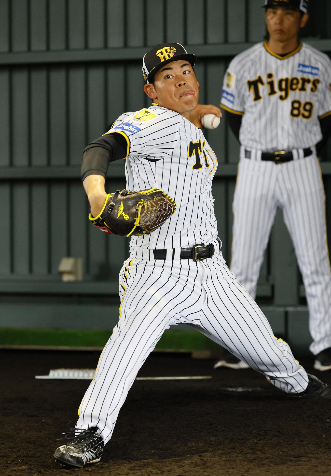 阪神鈴木勇斗（2024年2月7日撮影）