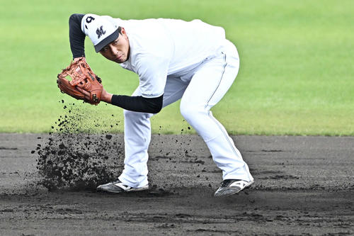 ライブBPで安打性の打球を何本も放ったロッテ茶谷。その後の特守でボールを追い、勢いよく土が飛びました。正遊撃手を狙い集中する表情が印象的でした（撮影・滝沢徹郎）