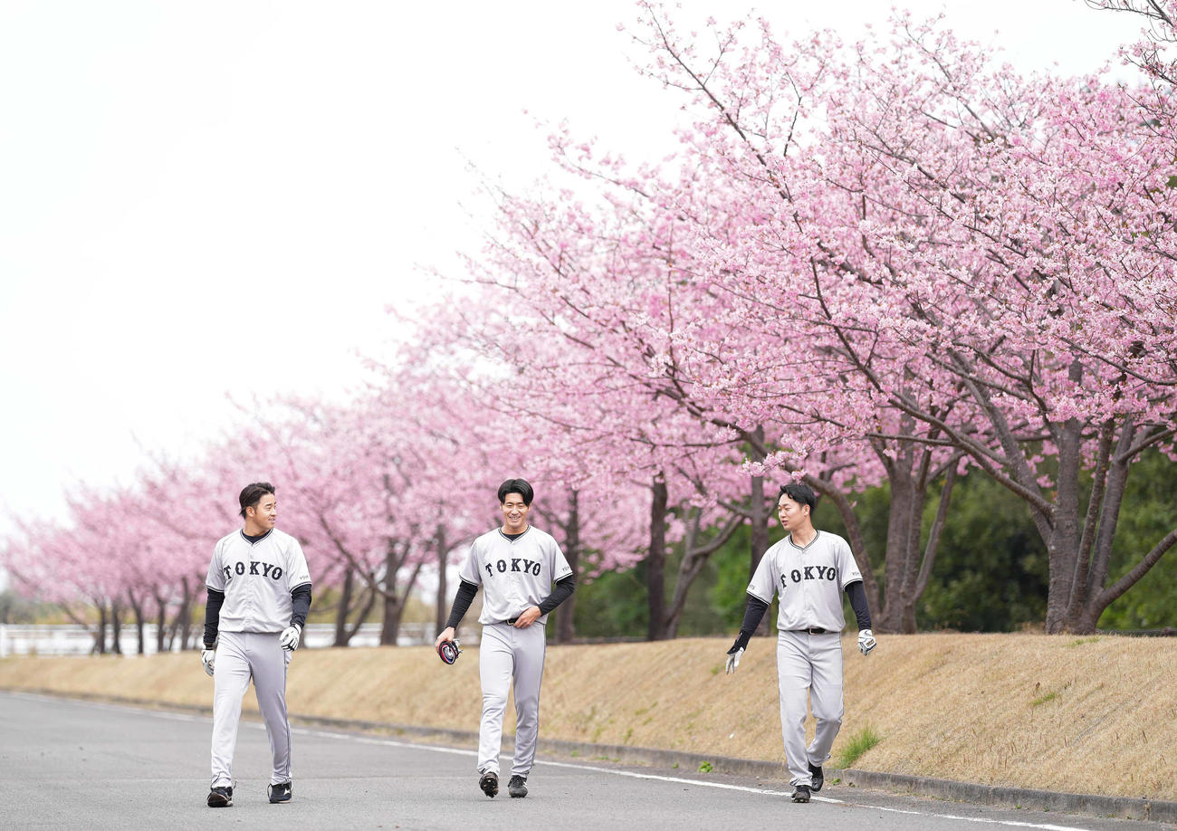 満開の桜を背に移動する巨人の、左から堀田、西舘、山崎伊（撮影・鈴木みどり）