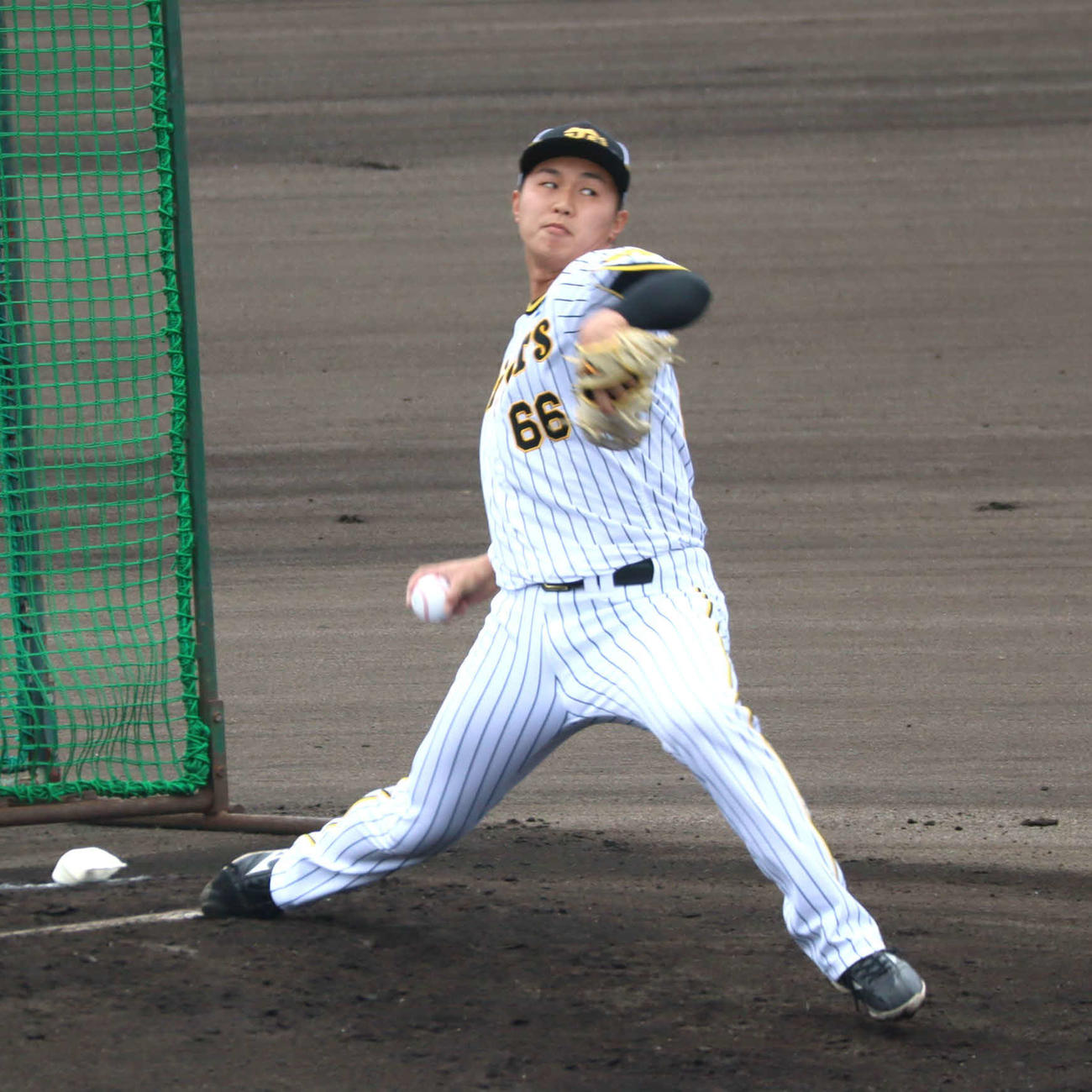 ランチ特打に打撃投手として初登板した阪神ドラフト6位津田（撮影・村松万里子）