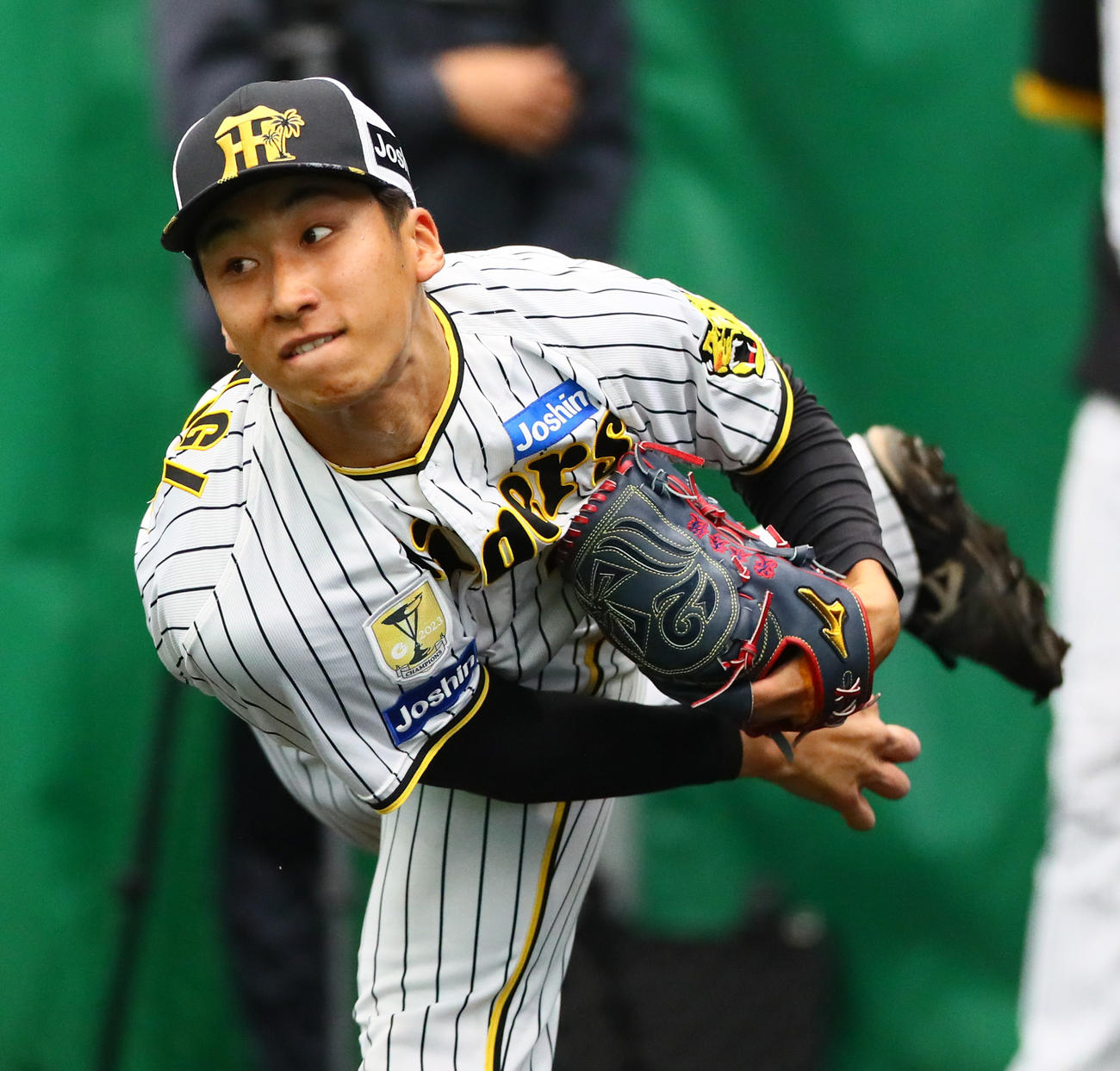 ブルペンで力投する阪神茨木（撮影・上山淳一）