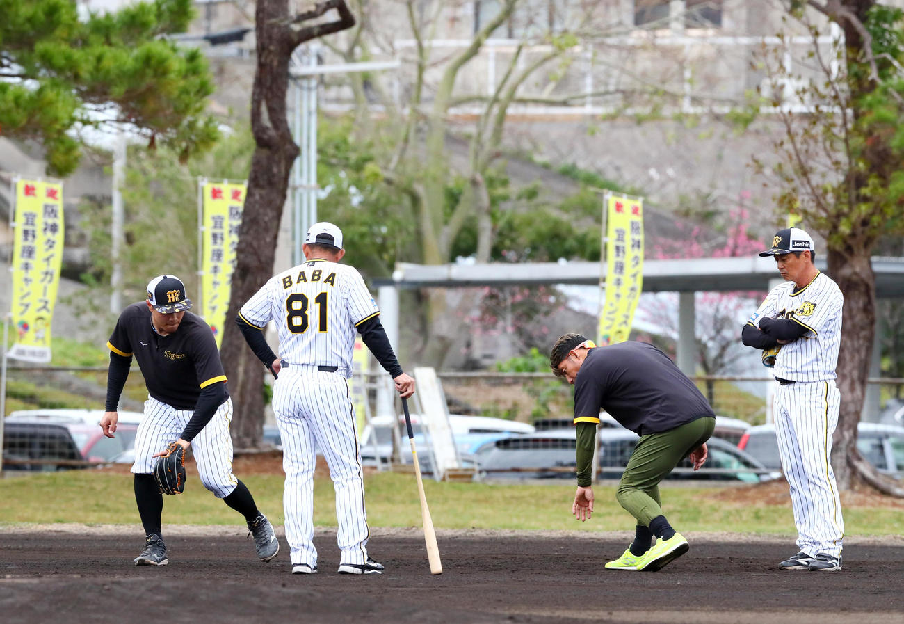 阪神佐藤輝（右）は鳥谷臨時コーチ（同3人目）から守備の指導を受ける。同2人目は馬場内野守備走塁コーチ、右は藤本内野守備走塁コーチ（撮影・上山淳一）