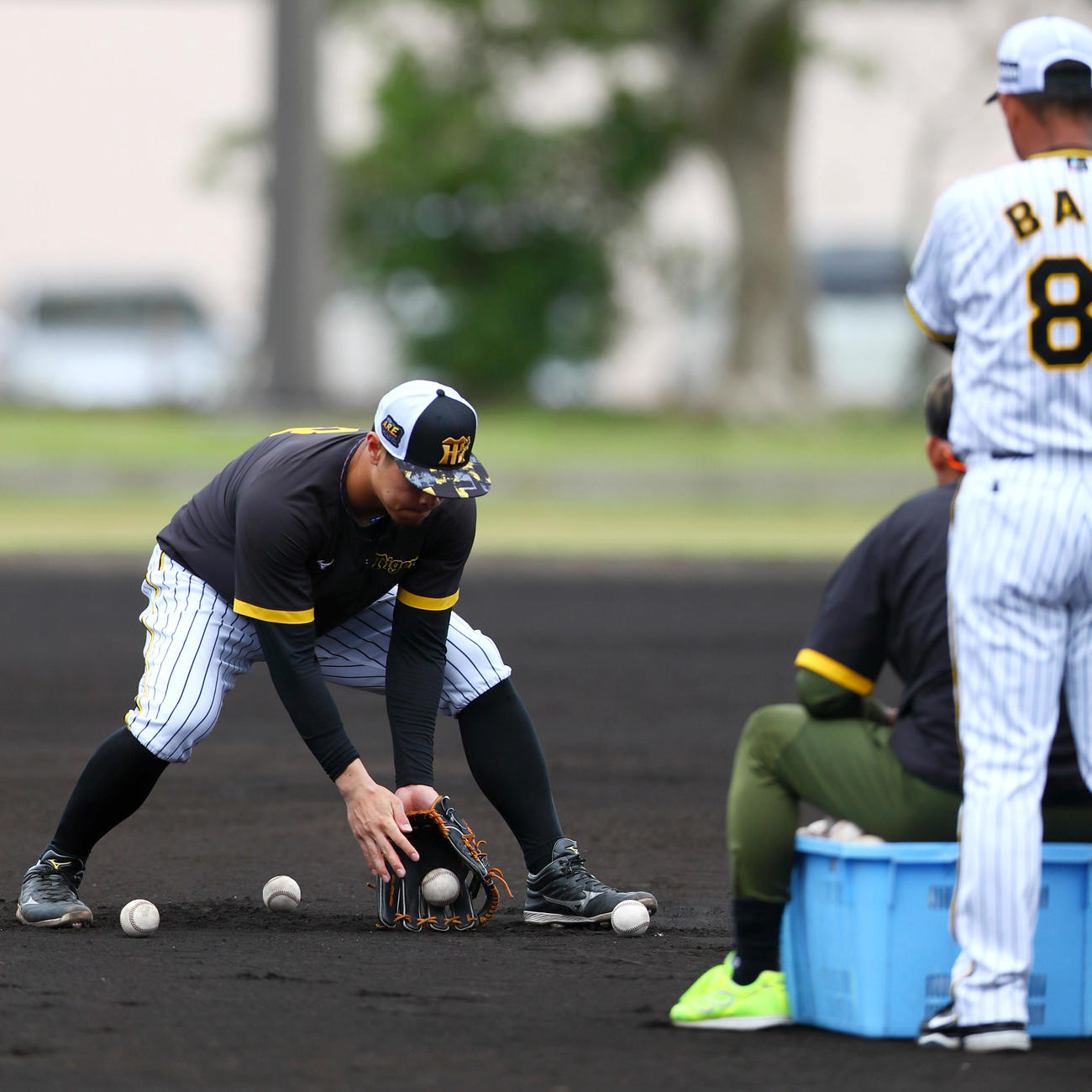 阪神佐藤輝は鳥谷臨時コーチから守備の指導を受ける（撮影・上山淳一）
