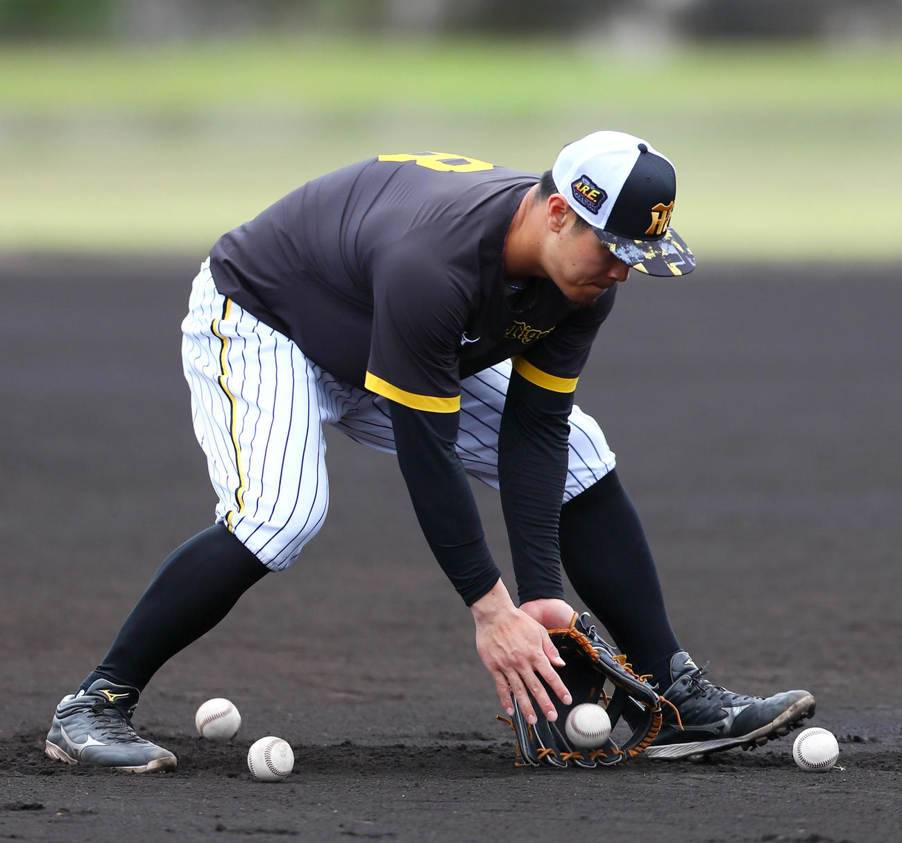 阪神佐藤輝は鳥谷臨時コーチから守備の指導を受ける（撮影・上山淳一）