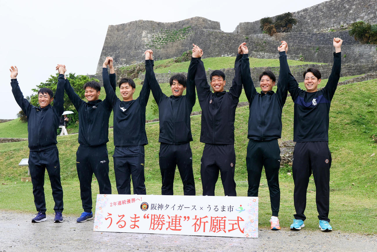キャンプ休日で勝連城跡を訪れ記念写真に納まる阪神の新人ら、左から福島、松原、津田、石黒、百崎、山田、下村（撮影・上山淳一）