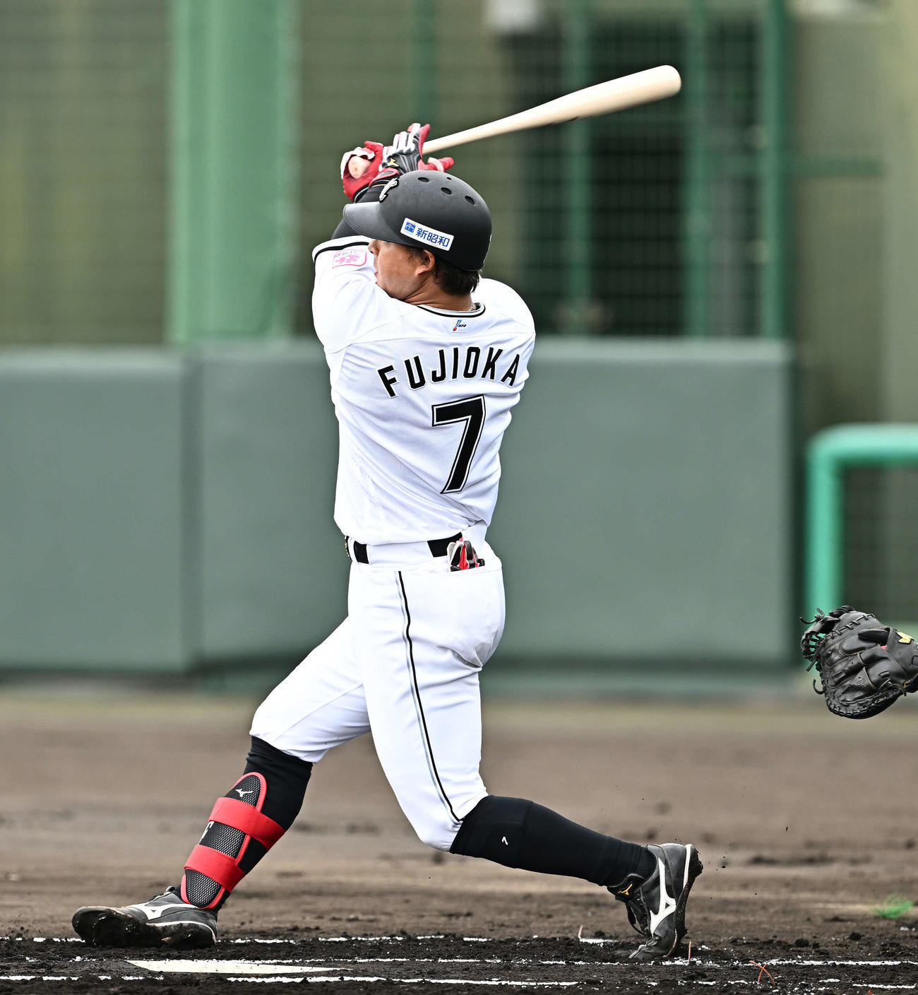 ライブBPで本塁打を放つロッテ藤岡（撮影・滝沢徹郎）
