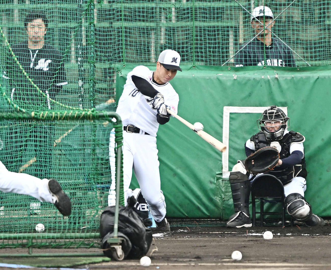 特打のフリー打撃をするロッテ上田（撮影・滝沢徹郎）