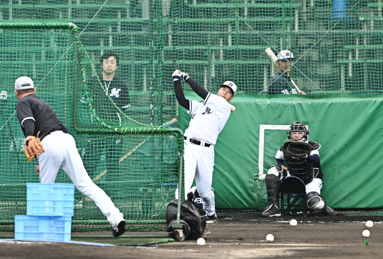 特打のフリー打撃をするロッテ上田（撮影・滝沢徹郎）