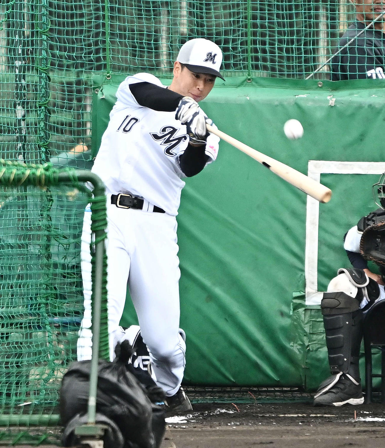 特打のフリー打撃をするロッテ上田（撮影・滝沢徹郎）