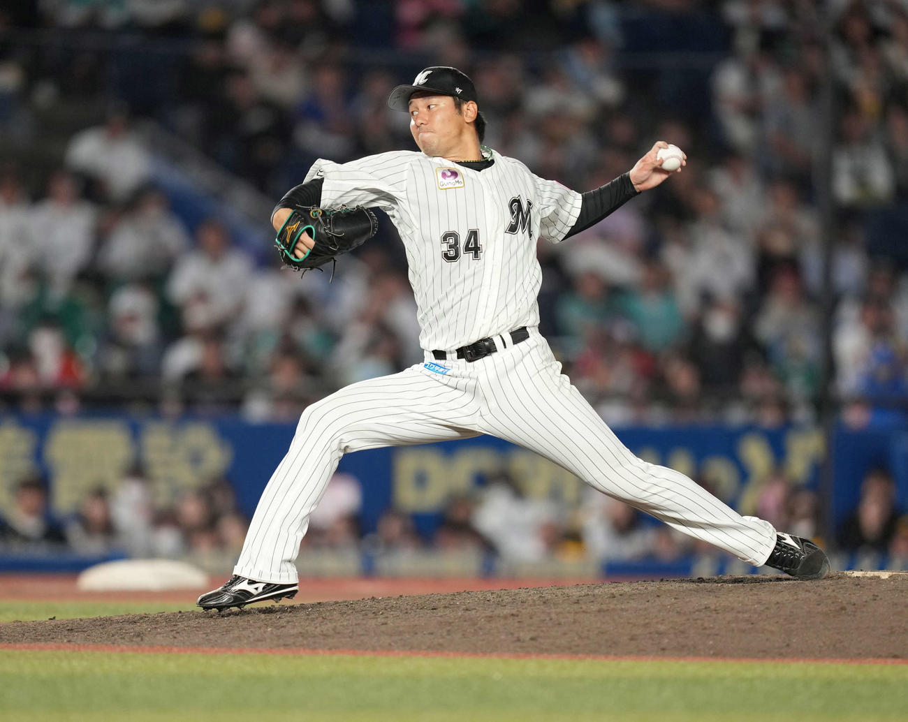 ロッテ高野脩汰（2023年9月24日撮影）