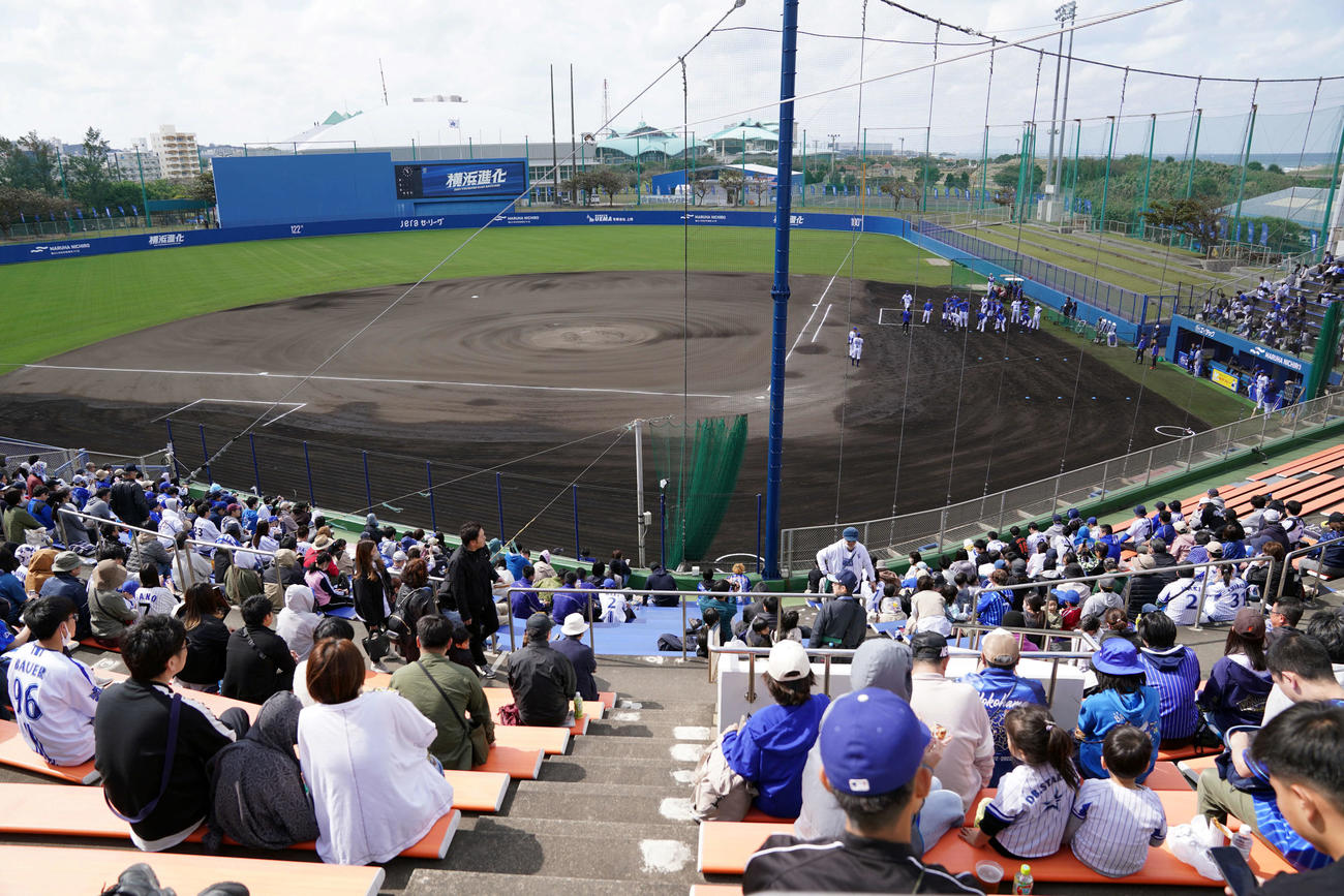 紅白戦を観戦に多くのファンが集まった（撮影・たえ見朱実）