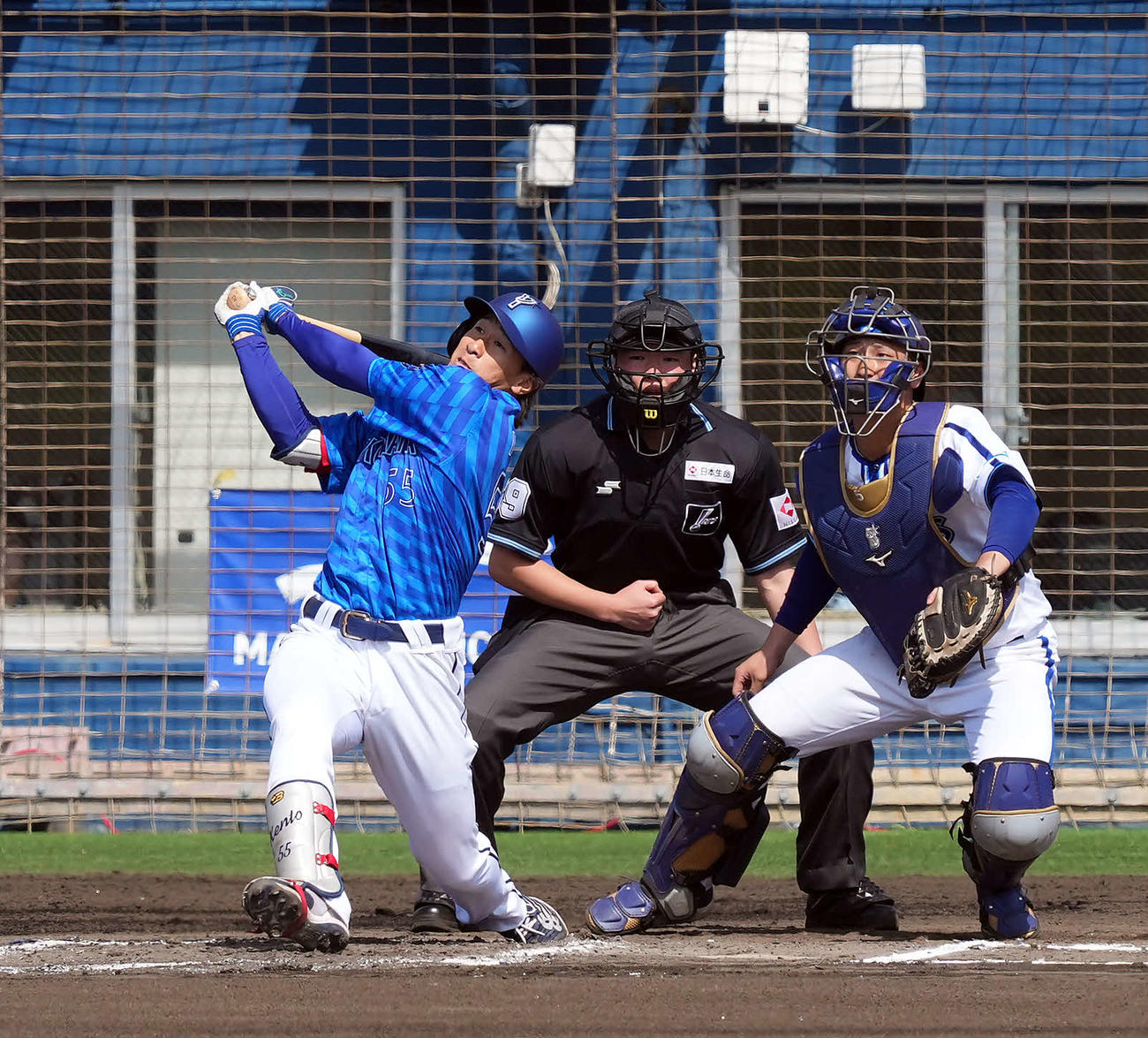 紅白戦　1回表紅組無死一、三塁、先制の犠飛を放つ井上（撮影・たえ見朱実）