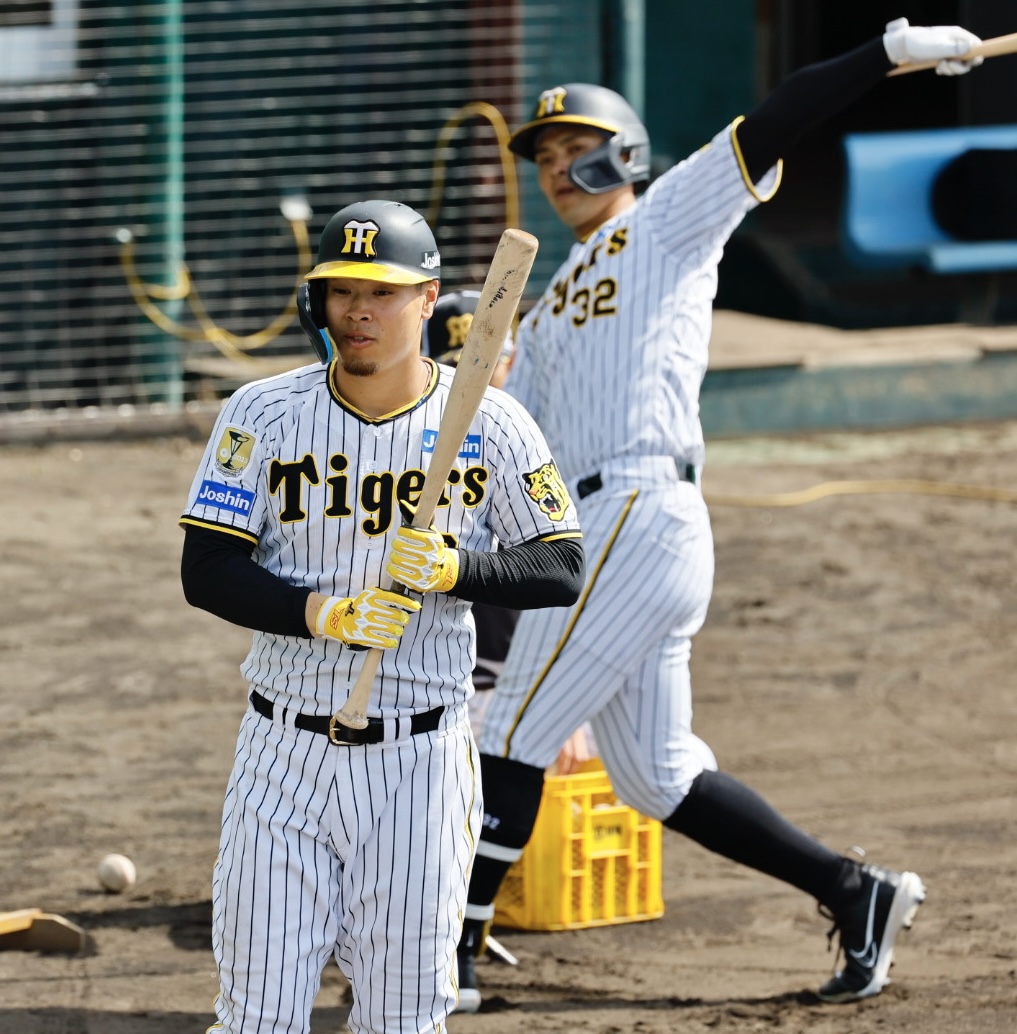 阪神春季キャンプ　ランチ特打をする佐藤輝（左）と井上
（撮影・藤尾明華）