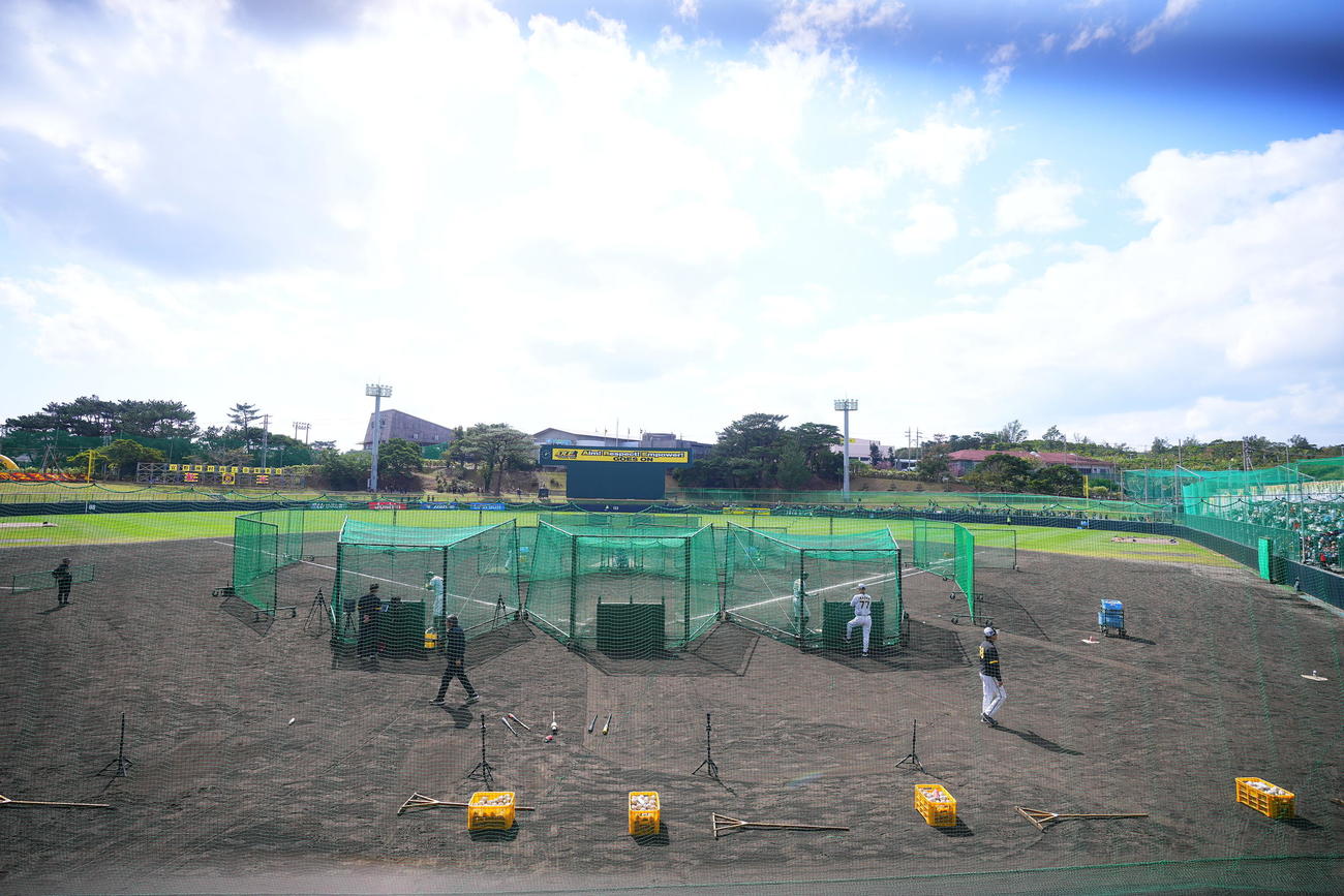 阪神春季キャンプ　ランチ特打をする佐藤輝（左）と井上（撮影・藤尾明華）