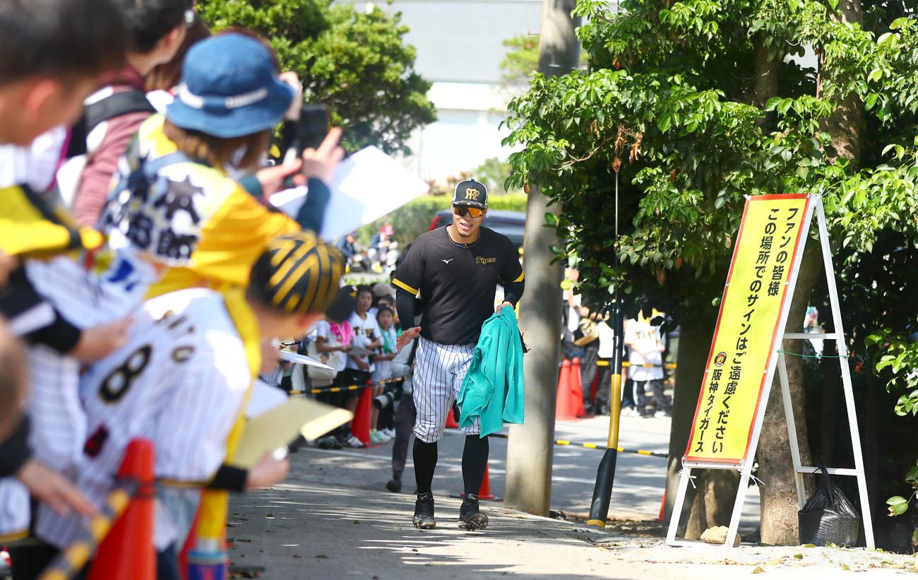 阪神佐藤輝は多くのファンに声を掛けられながら笑顔でサブグラウンドに向かう（撮影・上山淳一）