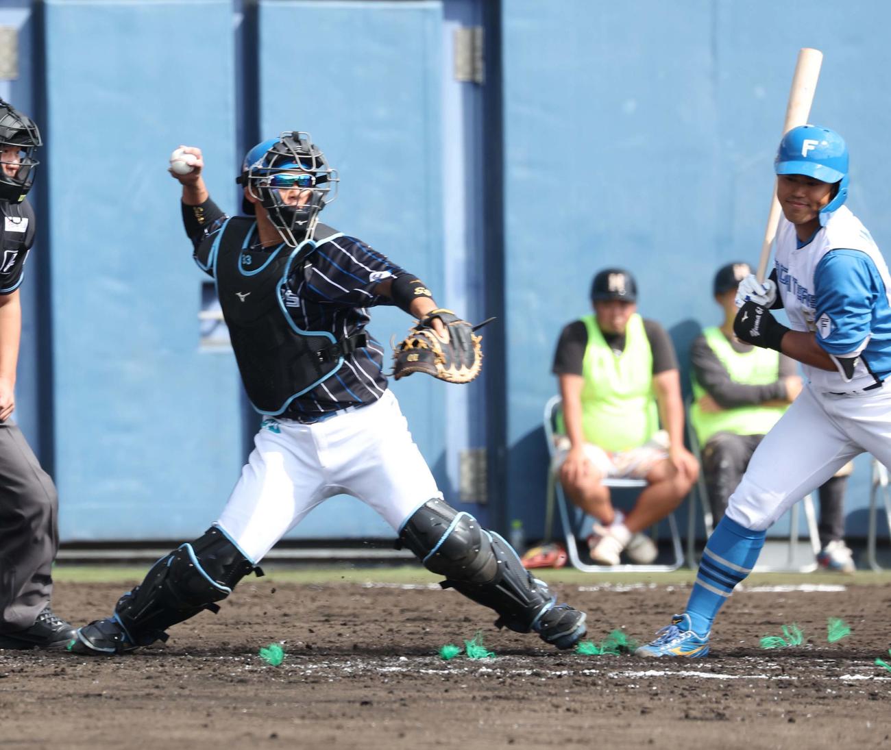 日本ハム紅白戦　3回裏白組無死一塁、五十幡の盗塁を阻止する進藤（撮影・黒川智章）