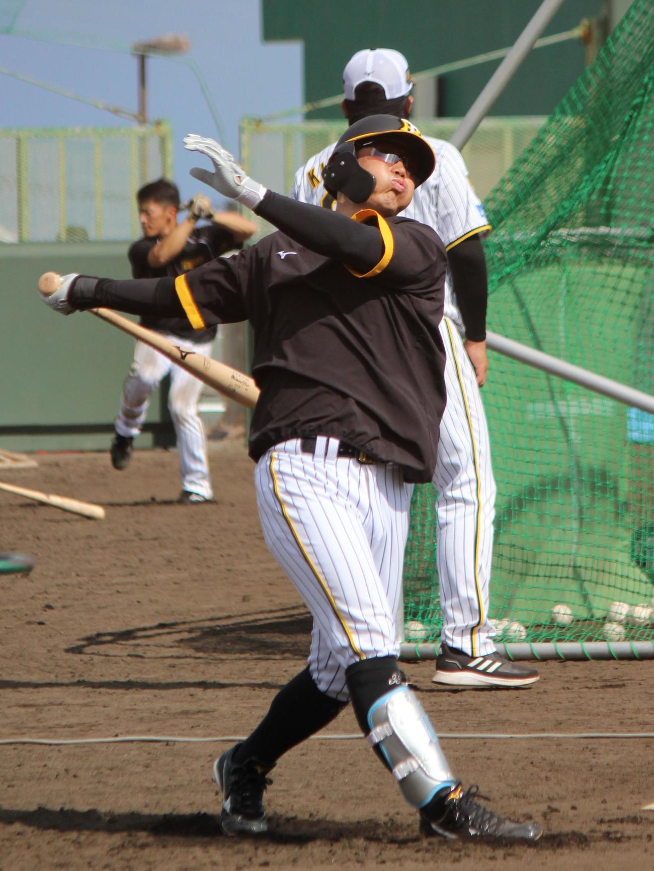 2軍キャンプでロングティーを行う阪神糸原健斗（撮影・柏原誠）
