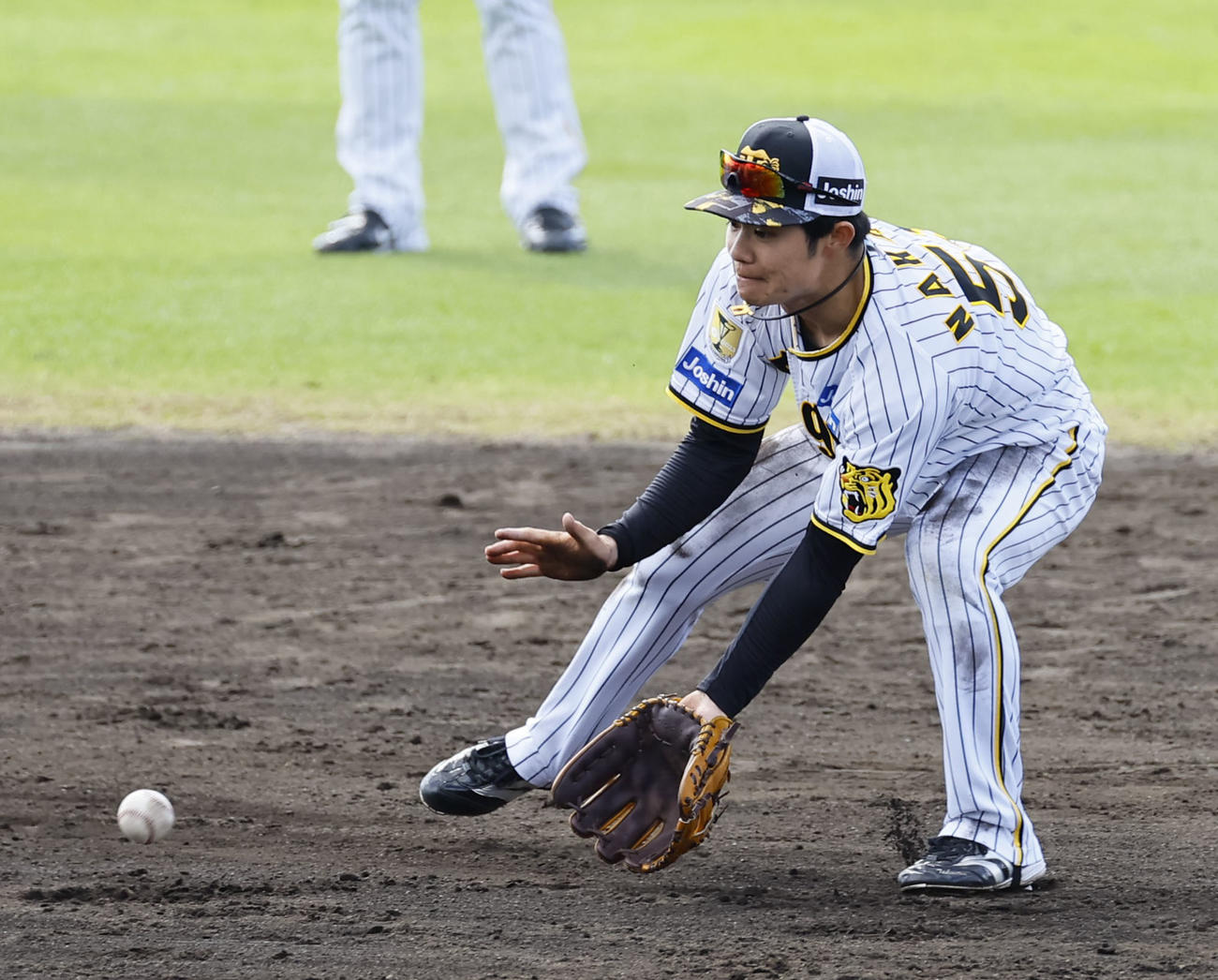 シートノックで軽快な動きを見せる中野（撮影・藤尾明華）