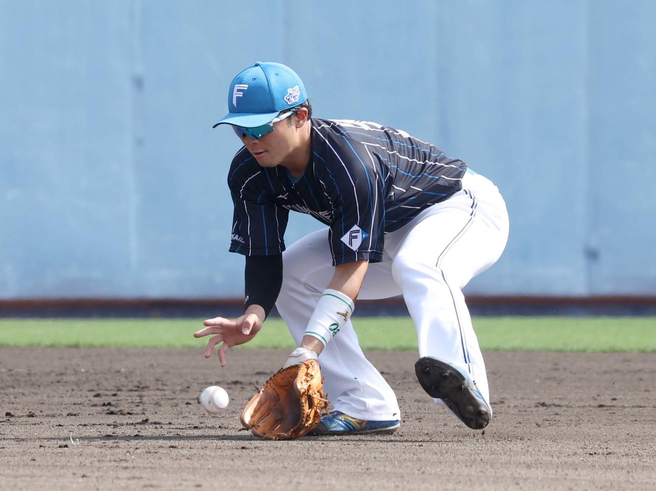 日本ハム紅白戦　2回裏白組2死一、三塁、伏見の三ゴロを捕球する郡司（撮影・黒川智章）
