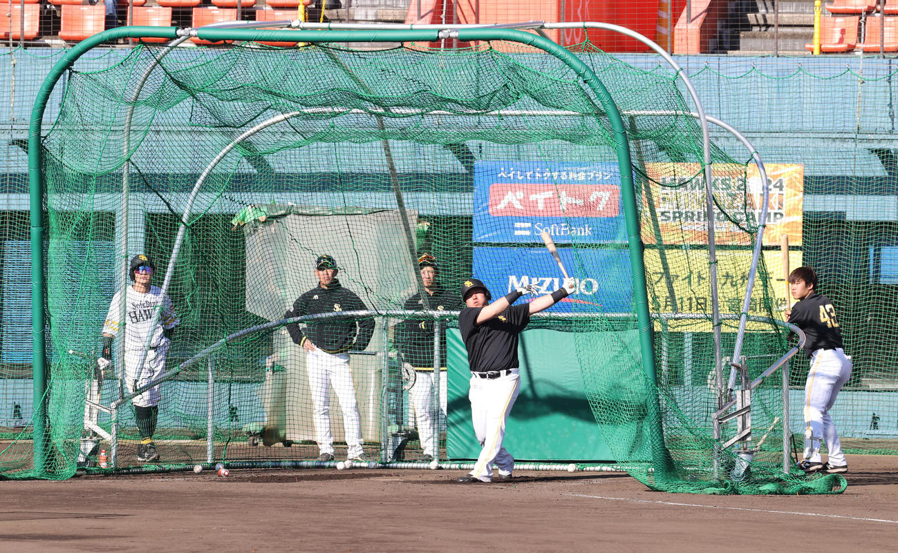 居残り特打で快音を響かせる山川、左は牧原大、右は井上（撮影・梅根麻紀）