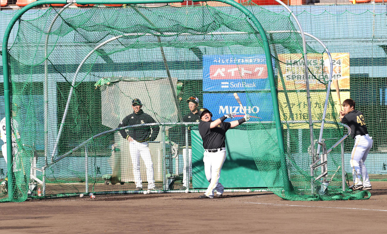 居残り特打で快音を響かせる山川、左は牧原大、右は井上（撮影・梅根麻紀）