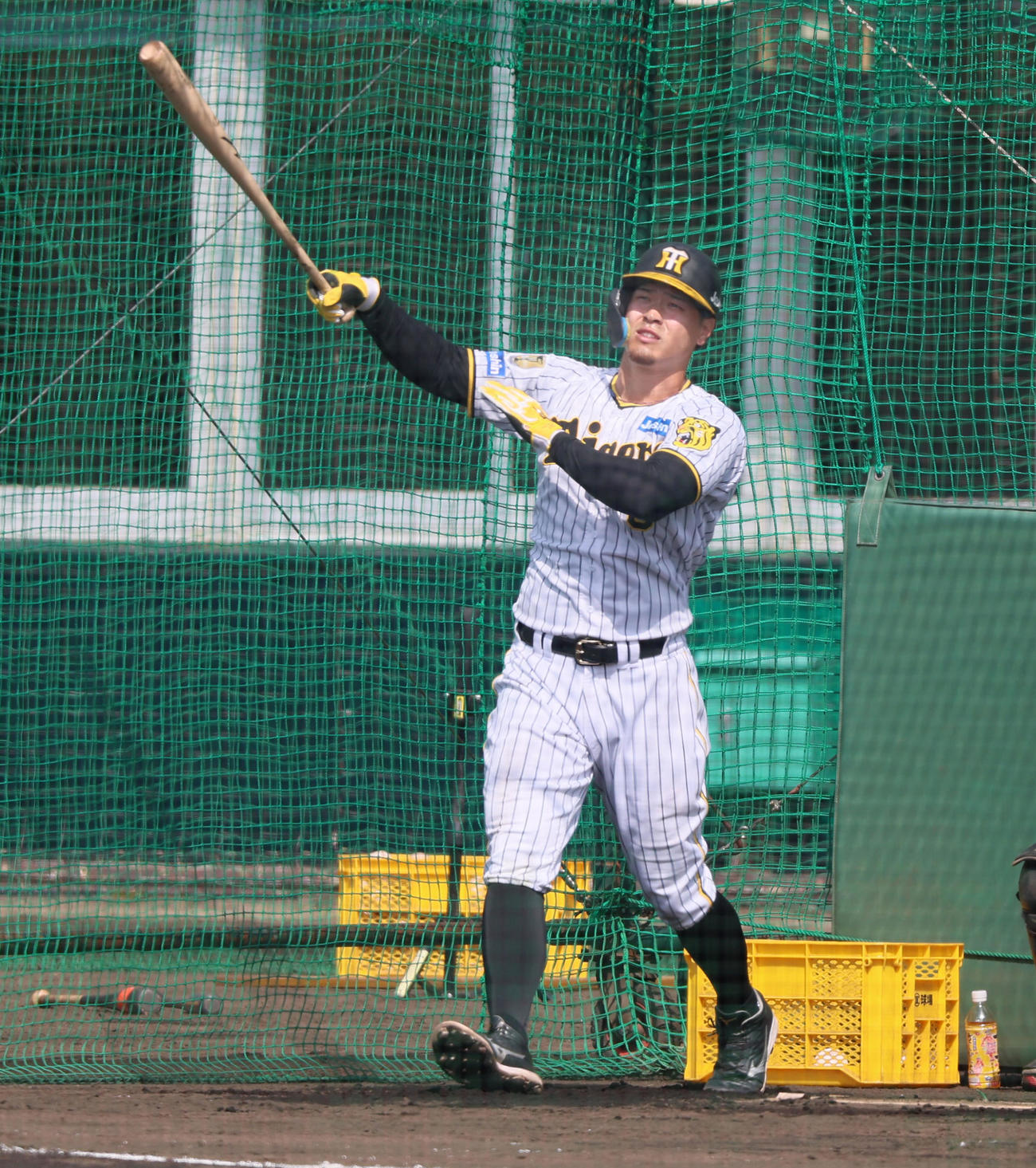 ランチ特打を行う佐藤輝（撮影・加藤哉）