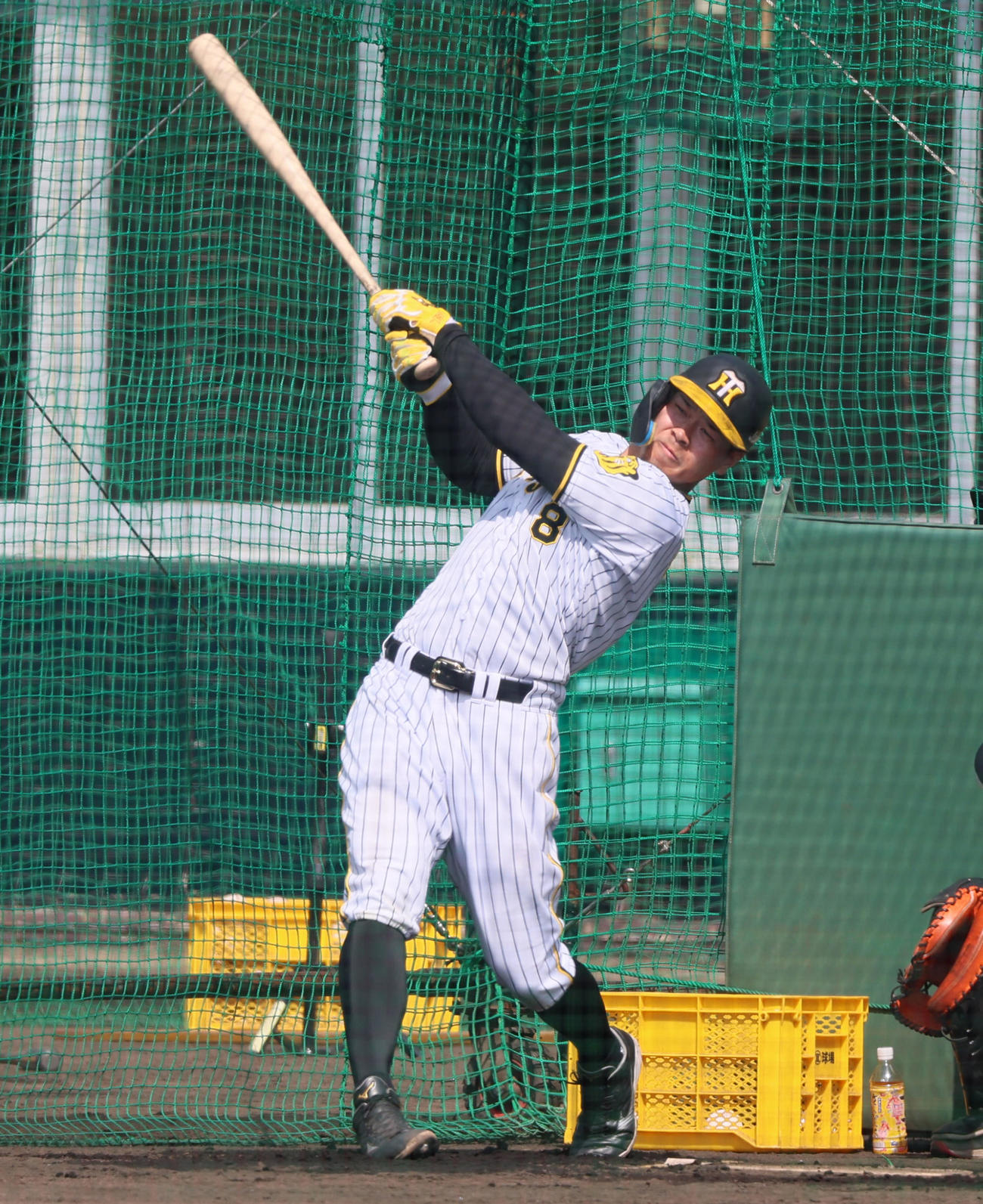 ランチ特打を行う佐藤輝（撮影・加藤哉）