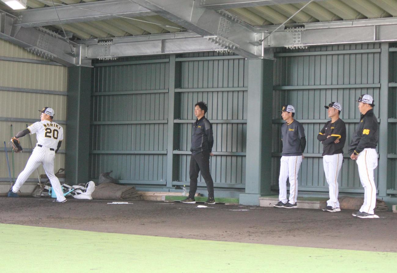 2軍キャンプで森木大智を見守る左から藤川球児SA、渡辺、江草、福原の2軍投手コーチ（撮影・柏原誠）