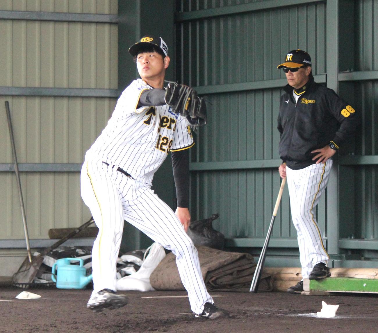 2軍キャンプで初めて捕手を座らせて投球した阪神高橋遥人（撮影・柏原誠）