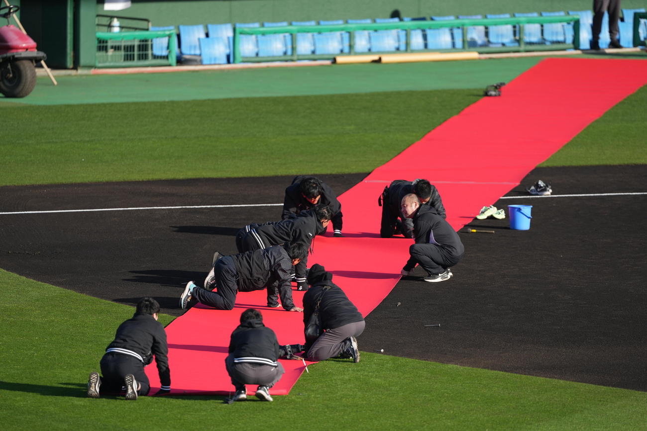 松井臨時コーチの歓迎セレモニーに向け、レッドカーペットの準備をするスタッフ（撮影・鈴木みどり）