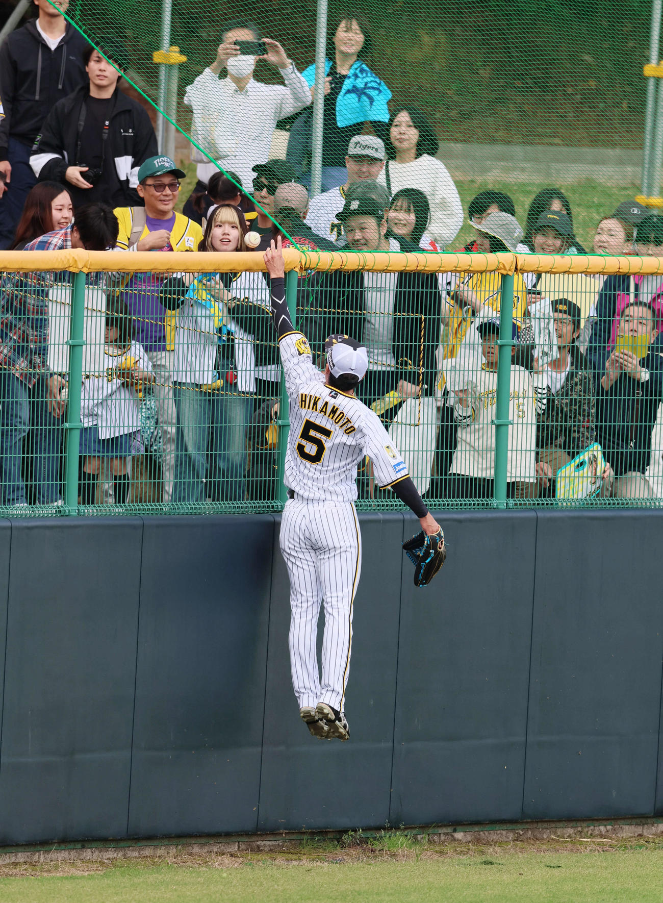 ジャンプしてファンにボールをプレゼントする近本（撮影・加藤哉）