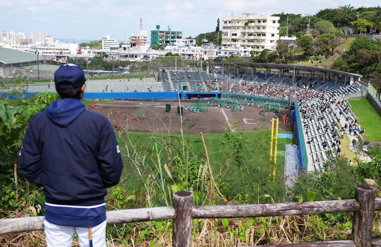 浦添名物地獄の階段ダッシュを見に来たヤクルト高津監督は丘の上からグラウンドの選手たちの動きにも目を光らせていた（撮影・横山健太）