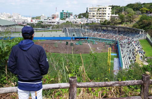 浦添名物地獄の階段ダッシュを見に来たヤクルト高津監督は丘の上からグラウンドの選手たちの動きにも目を光らせていた(撮影・横山健太)
