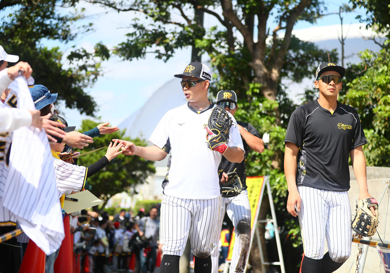 ファンと指タッチを交わす阪神野口。右は井上（撮影・上山淳一）