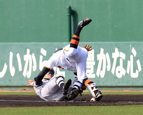 巨人紅白戦　2回裏白組無死、佐々木（右）の二塁ゴロで、送球を捕球した若林と接触する（撮影・浅見桂子）