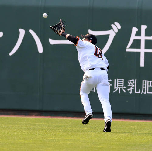 巨人紅白戦　1綺表紅組無死、オコエの打球を好捕する萩尾（撮影・浅見桂子）