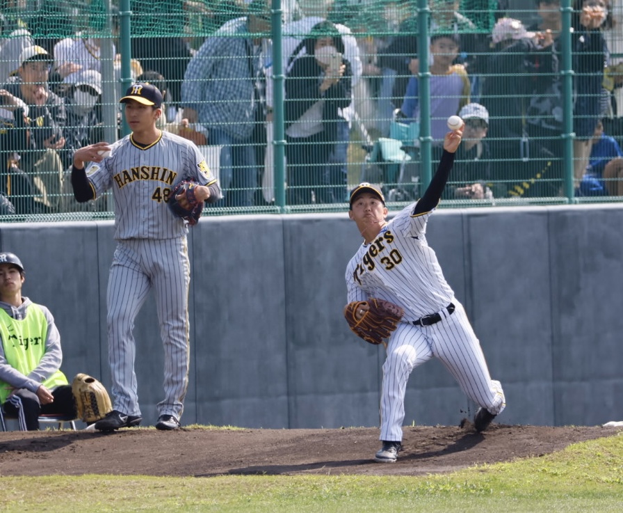 阪神春季キャンプ　紅白戦で先発する門別（右）と茨木（撮影・藤尾明華）