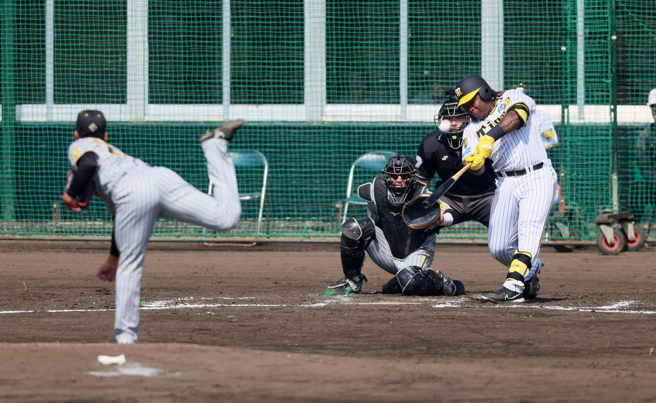 紅白戦　2回裏白組1死一塁、ミエセスは左越え2点本塁打を放つ。投手は茨木（撮影・加藤哉）