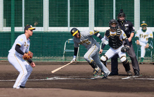 紅白戦　1回表紅組1死二塁、原口は遊内野安打を放つ。投手は門別（撮影・加藤哉）