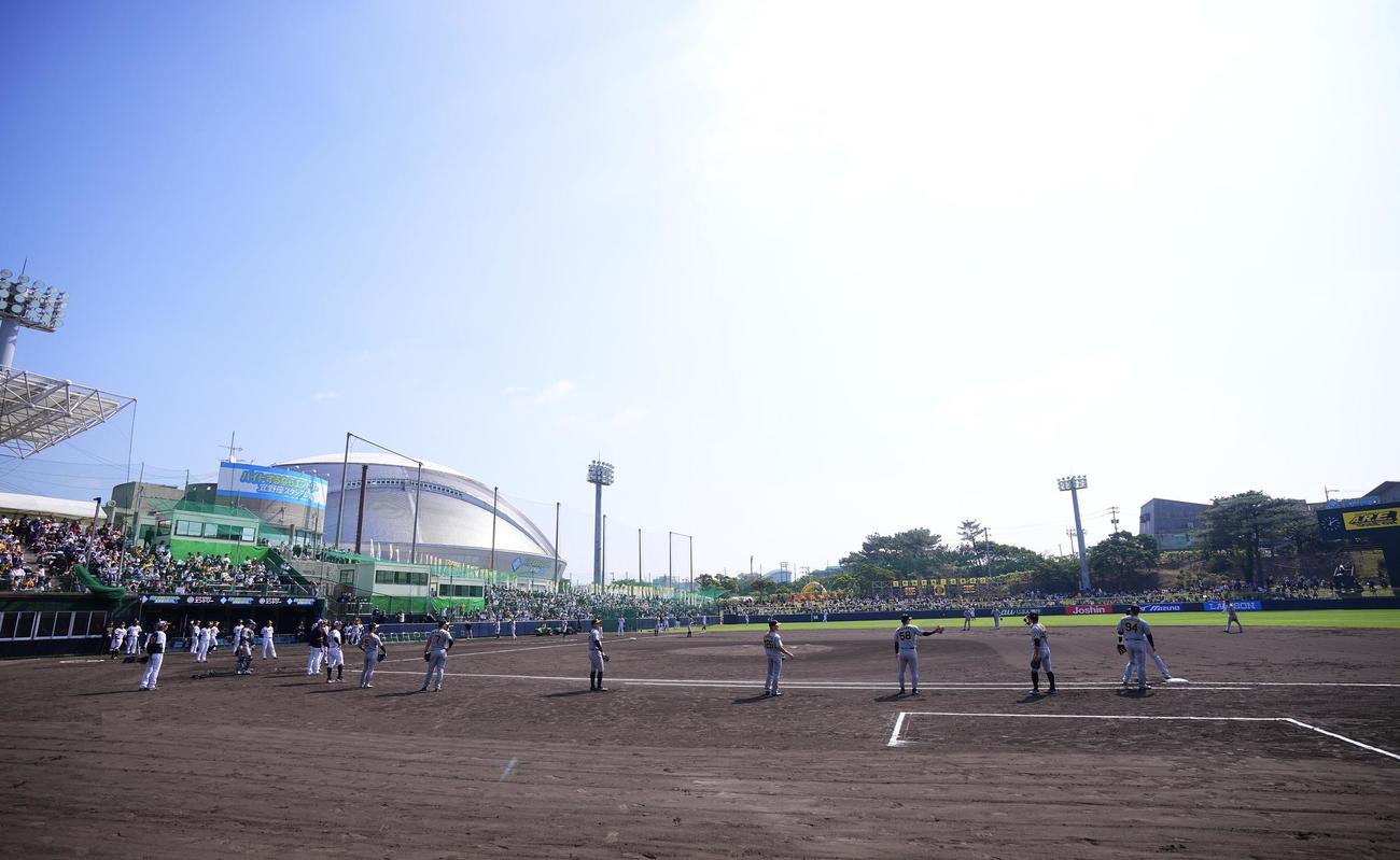 阪神春季キャンプ　紅白戦前にレフトスタンドも解放された（撮影・藤尾明華）