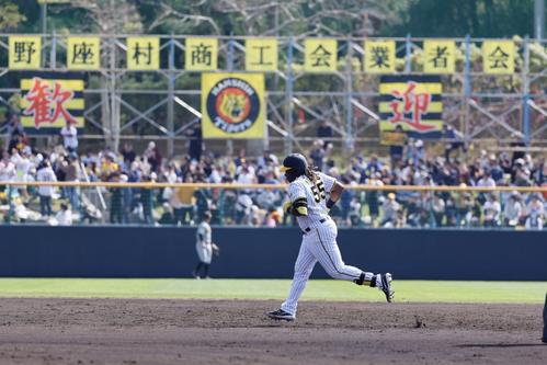 阪神春季キャンプ　2回白組1死、左越えに本塁打を放ち三塁へ向かうミエセス（撮影・藤尾明華）