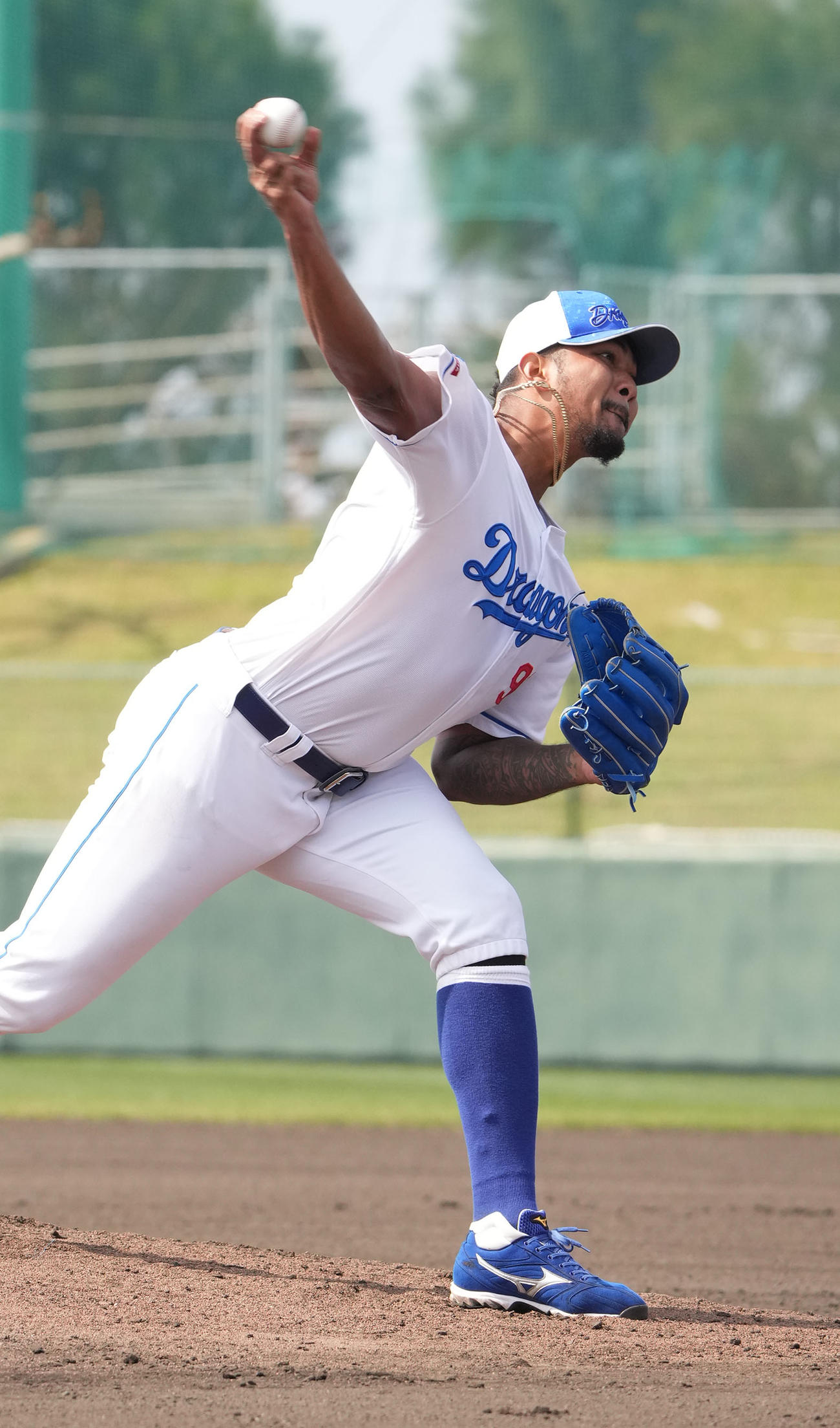 ケース打撃練習に登板するメヒア（撮影・森本幸一）